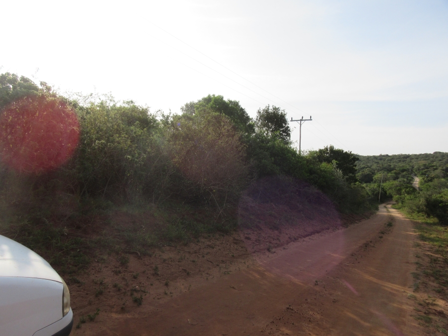 0 Bedroom Property for Sale in Bathurst Eastern Cape